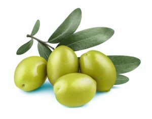 Dryad olives