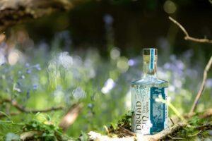 About Dryad GIN